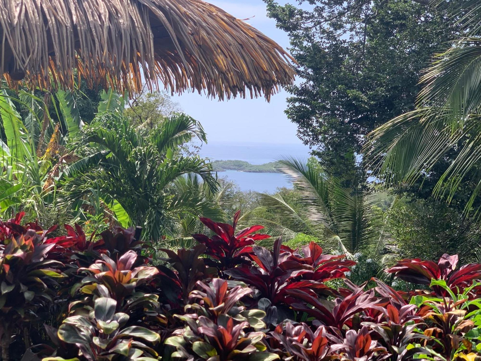 Les Ilets Caraibes Vue Mer 부이영뜨 외부 사진